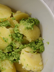 Garlic Scape Pesto On Boiled Potatoes